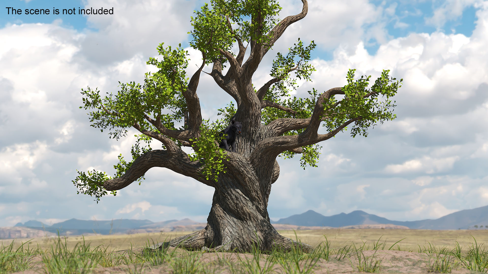 3D Black Panther Cub on Ancient Twisted Tree