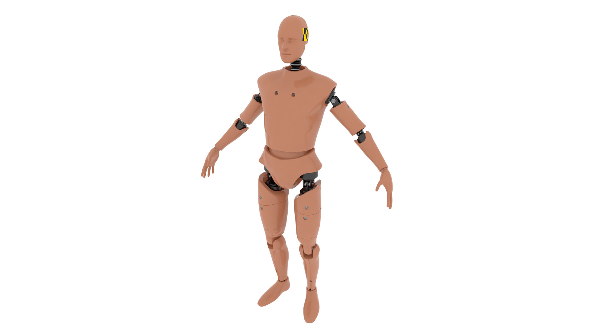 3D model Humanoid Crash Test Dummy