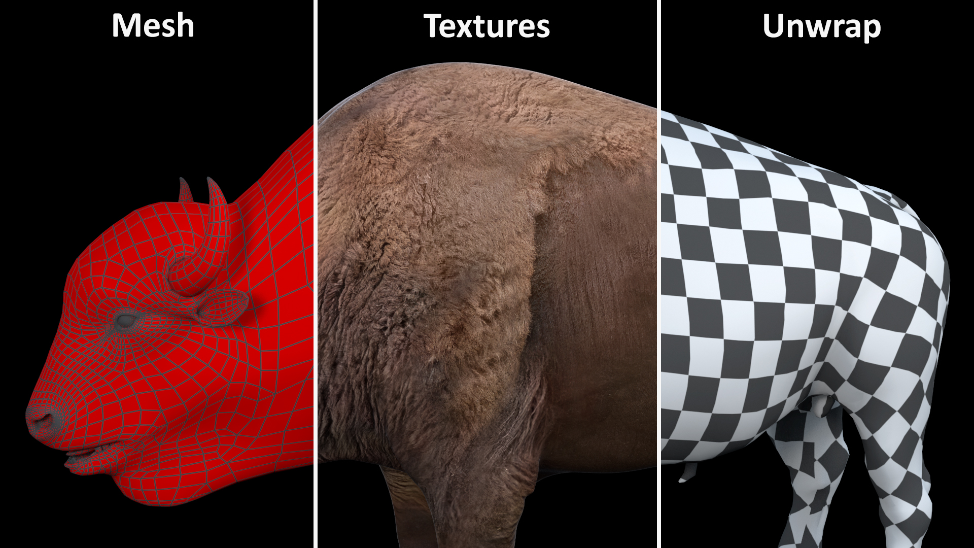 American Bison Bull 3D model