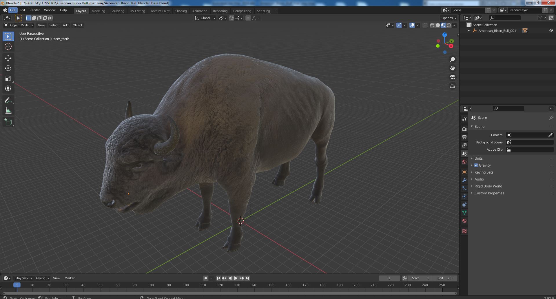 American Bison Bull 3D model