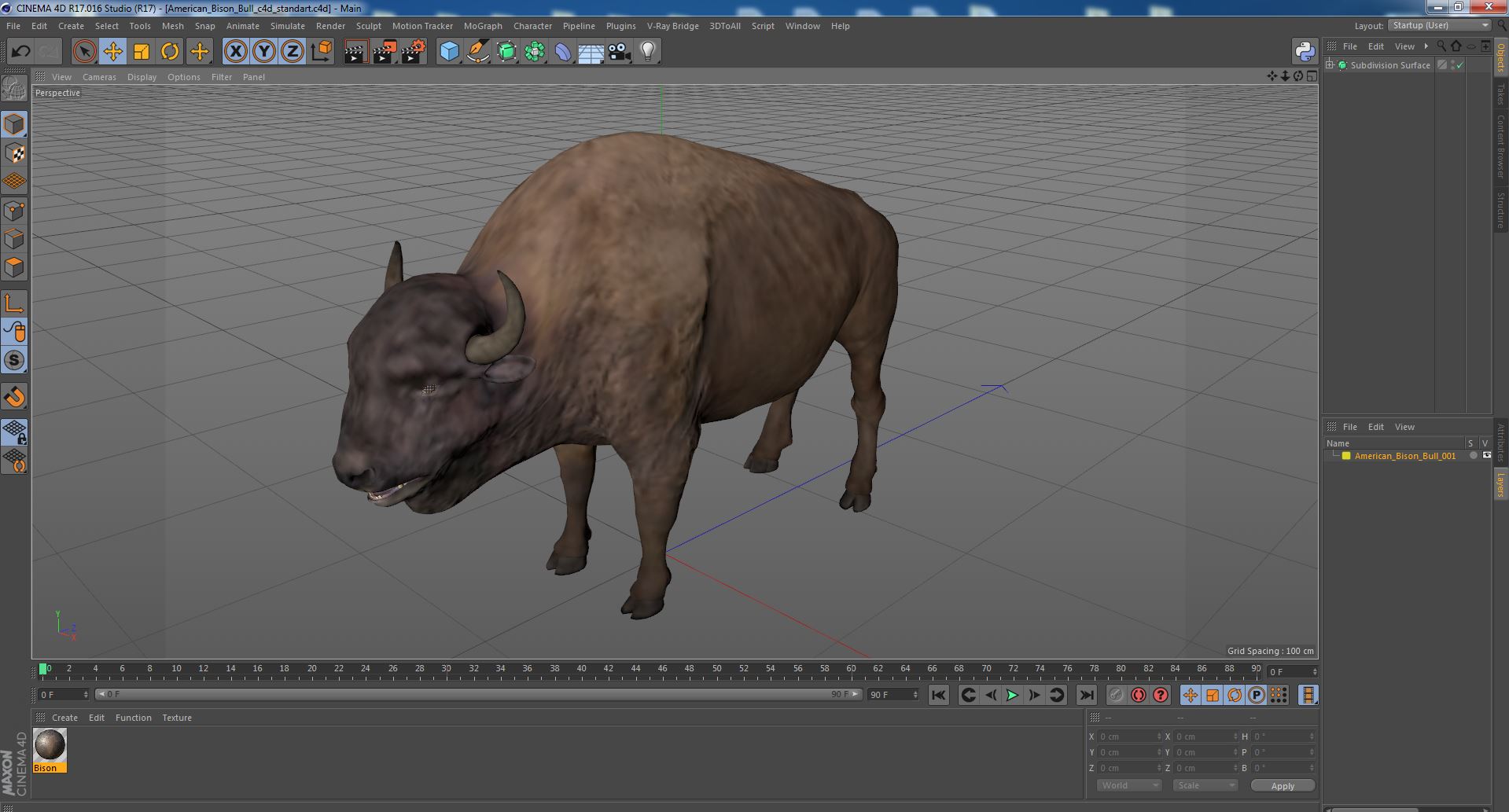 American Bison Bull 3D model