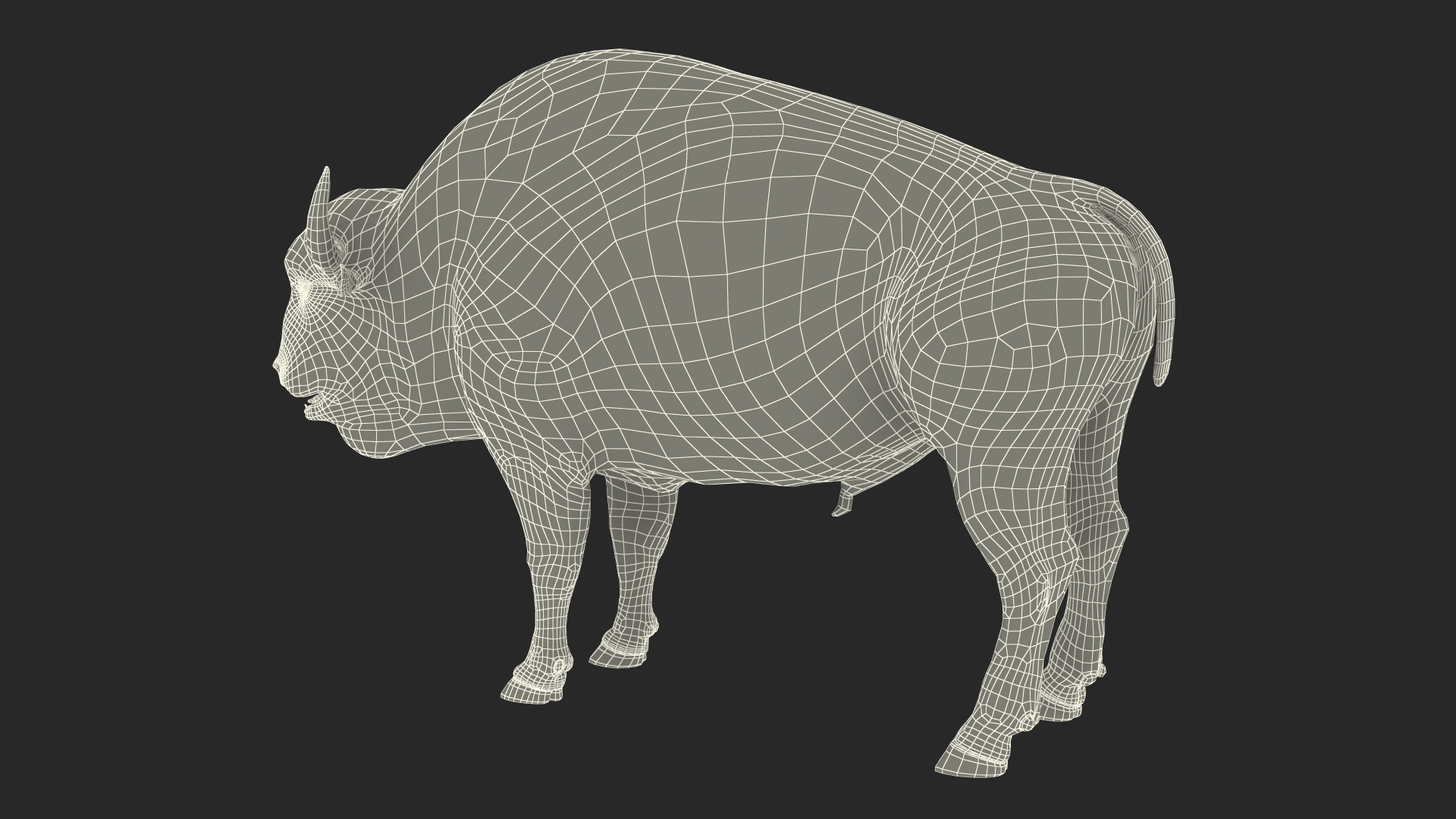 American Bison Bull 3D model