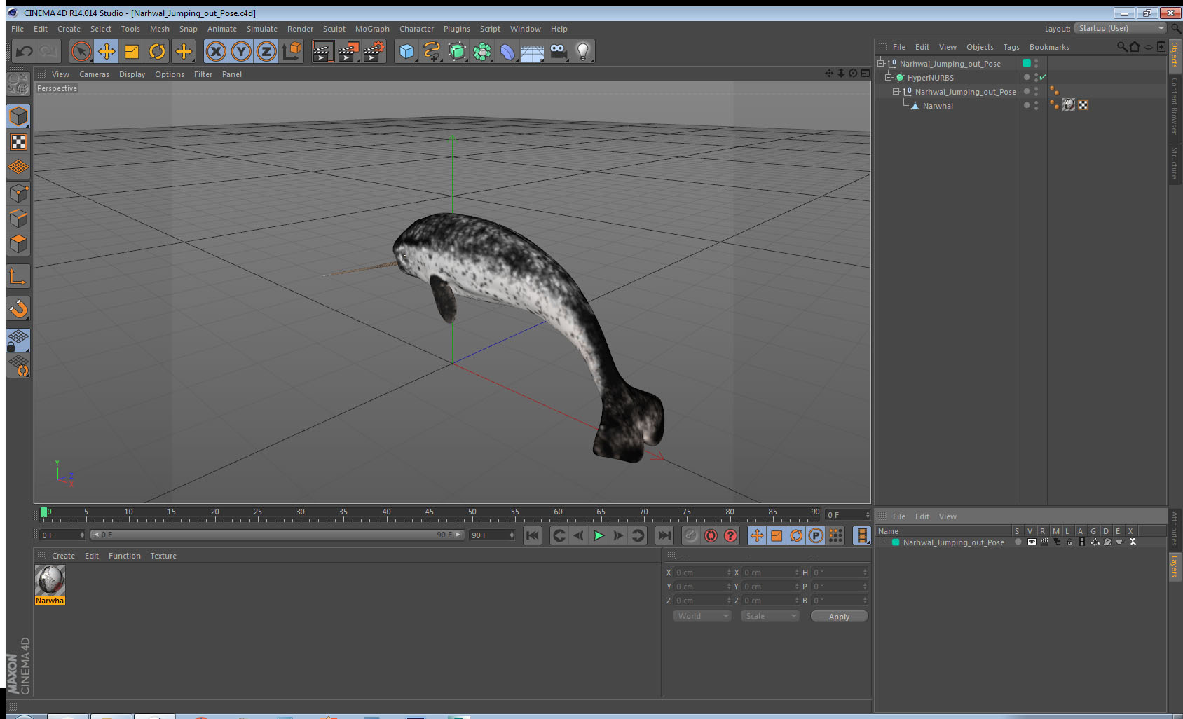 Narwhal Jumping out Pose 3D model