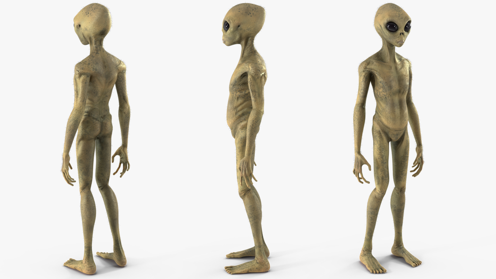 Humanoid Alien Standing Pose Fur 3D