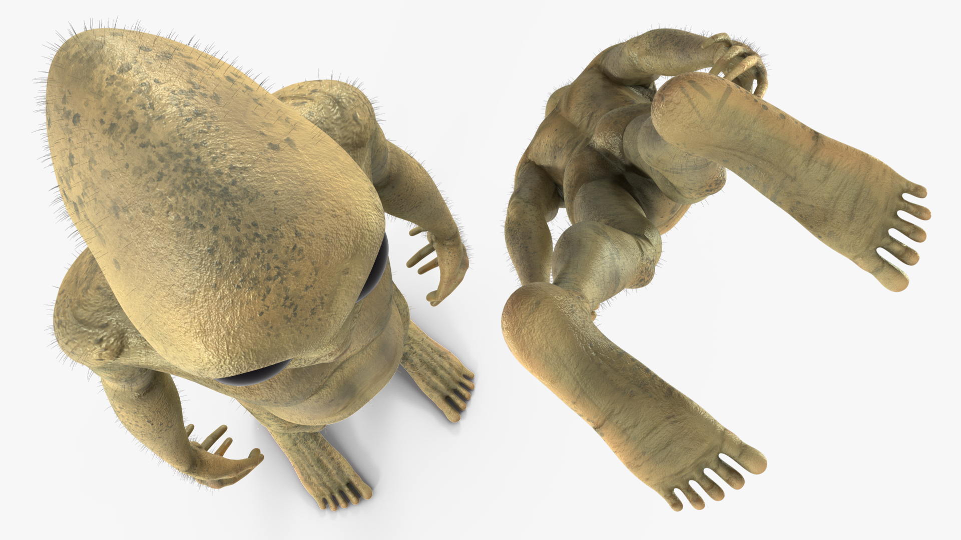 Humanoid Alien Standing Pose Fur 3D