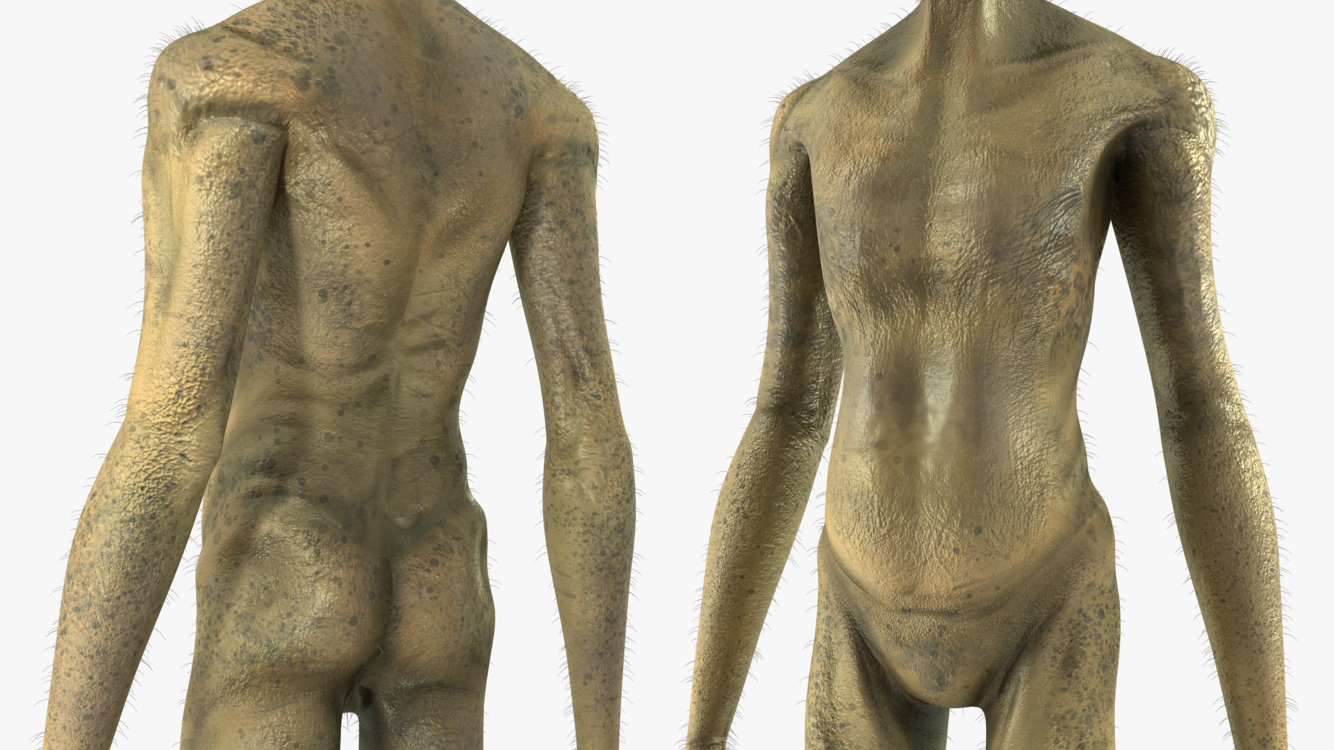 Humanoid Alien Standing Pose Fur 3D