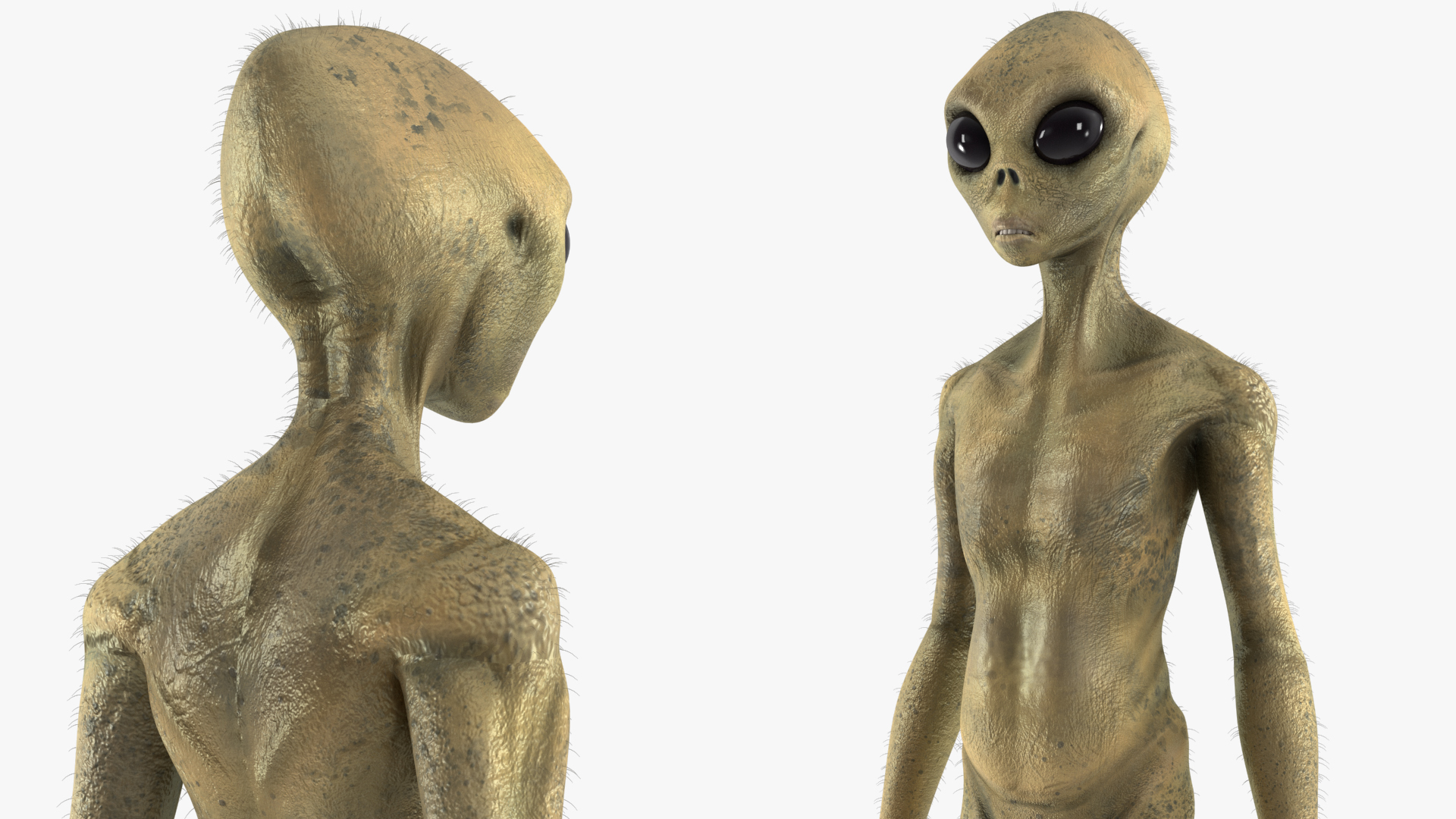 Humanoid Alien Standing Pose Fur 3D