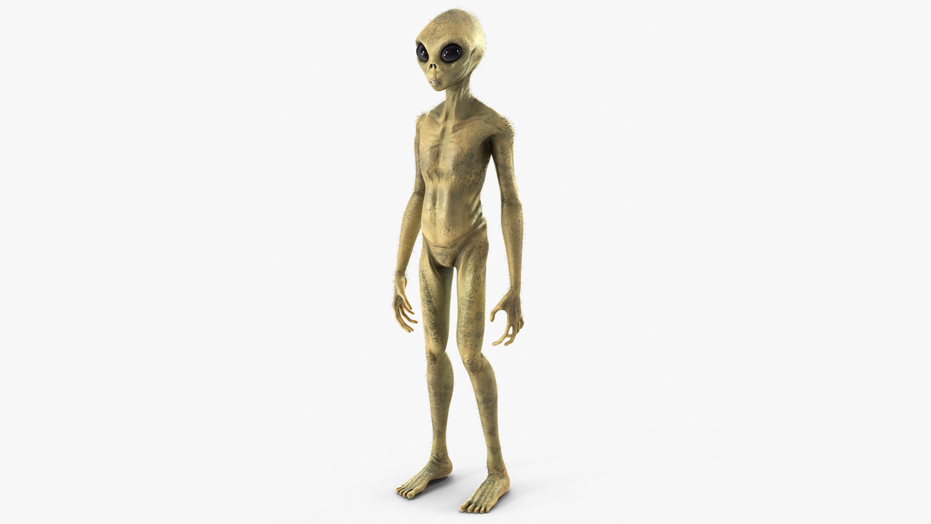 Humanoid Alien Standing Pose Fur 3D