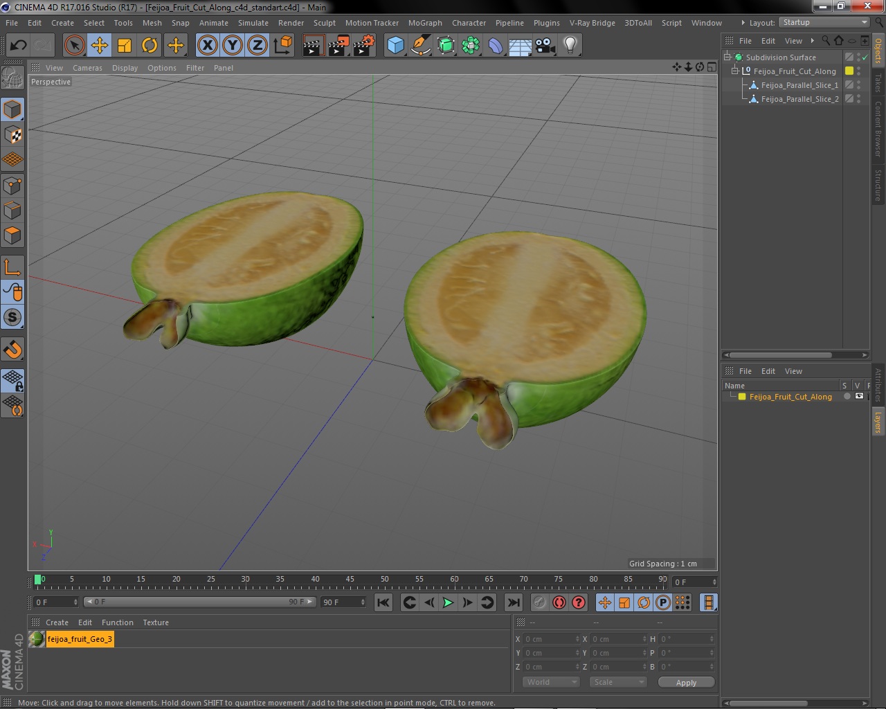 Feijoa Fruit Cut Along 3D