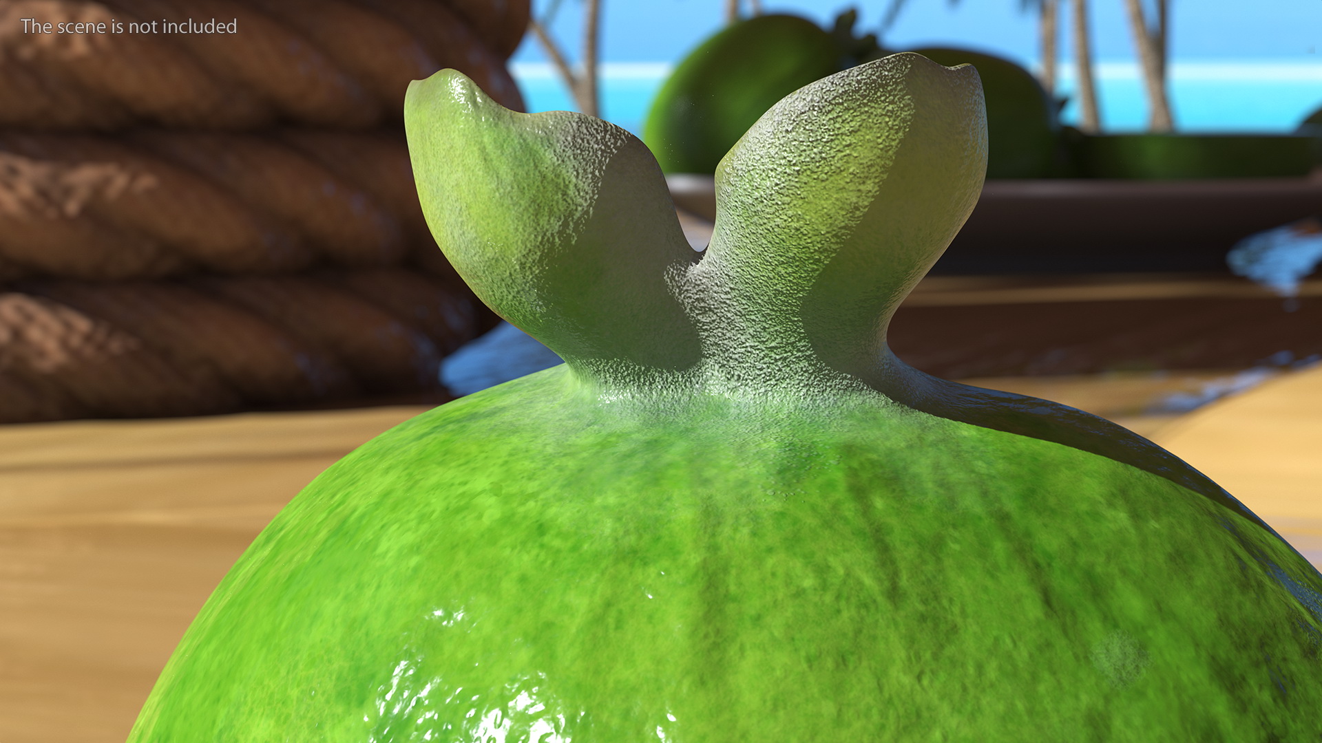 Feijoa Fruit Cut Along 3D