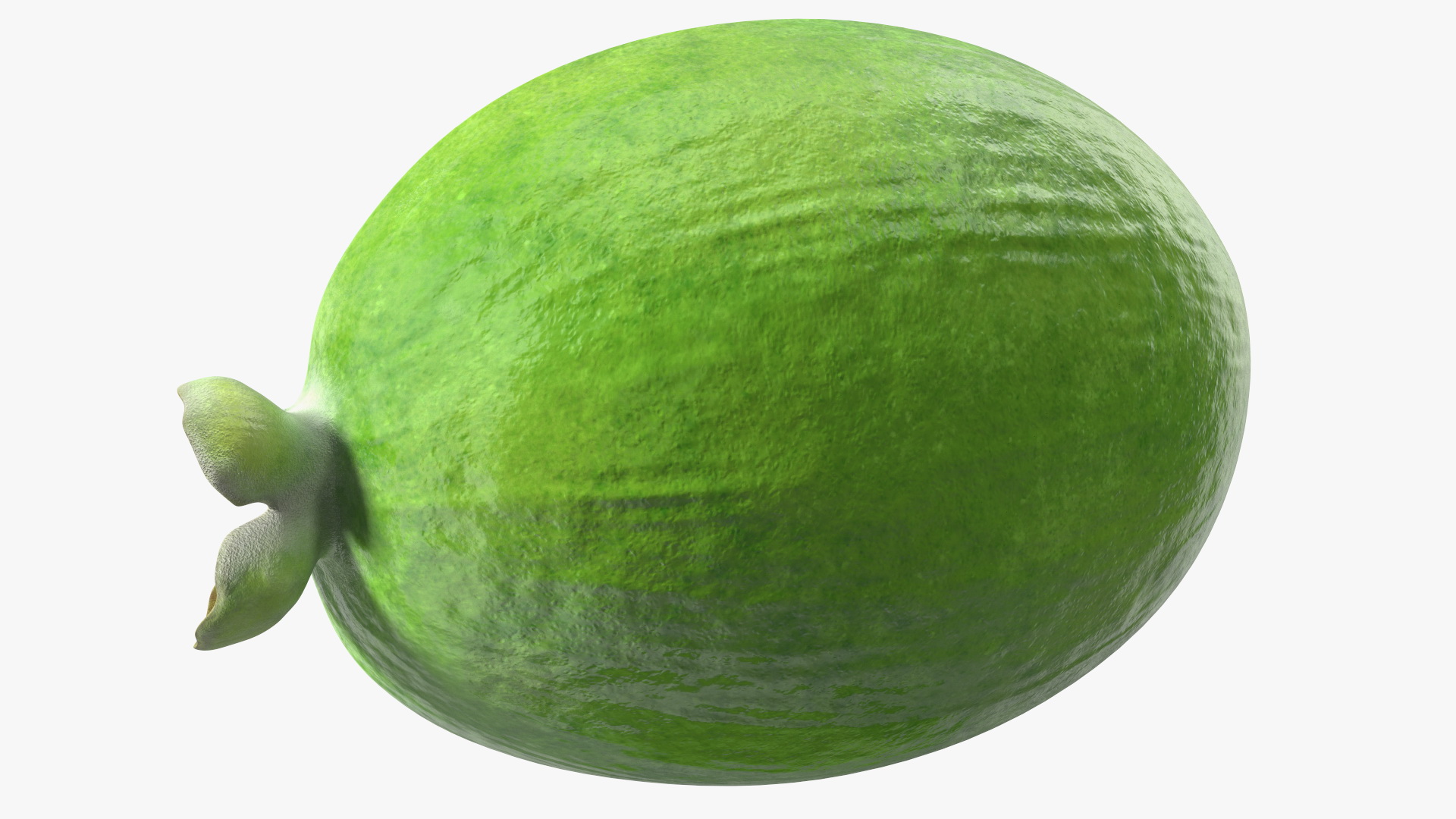 Feijoa Fruit Cut Along 3D