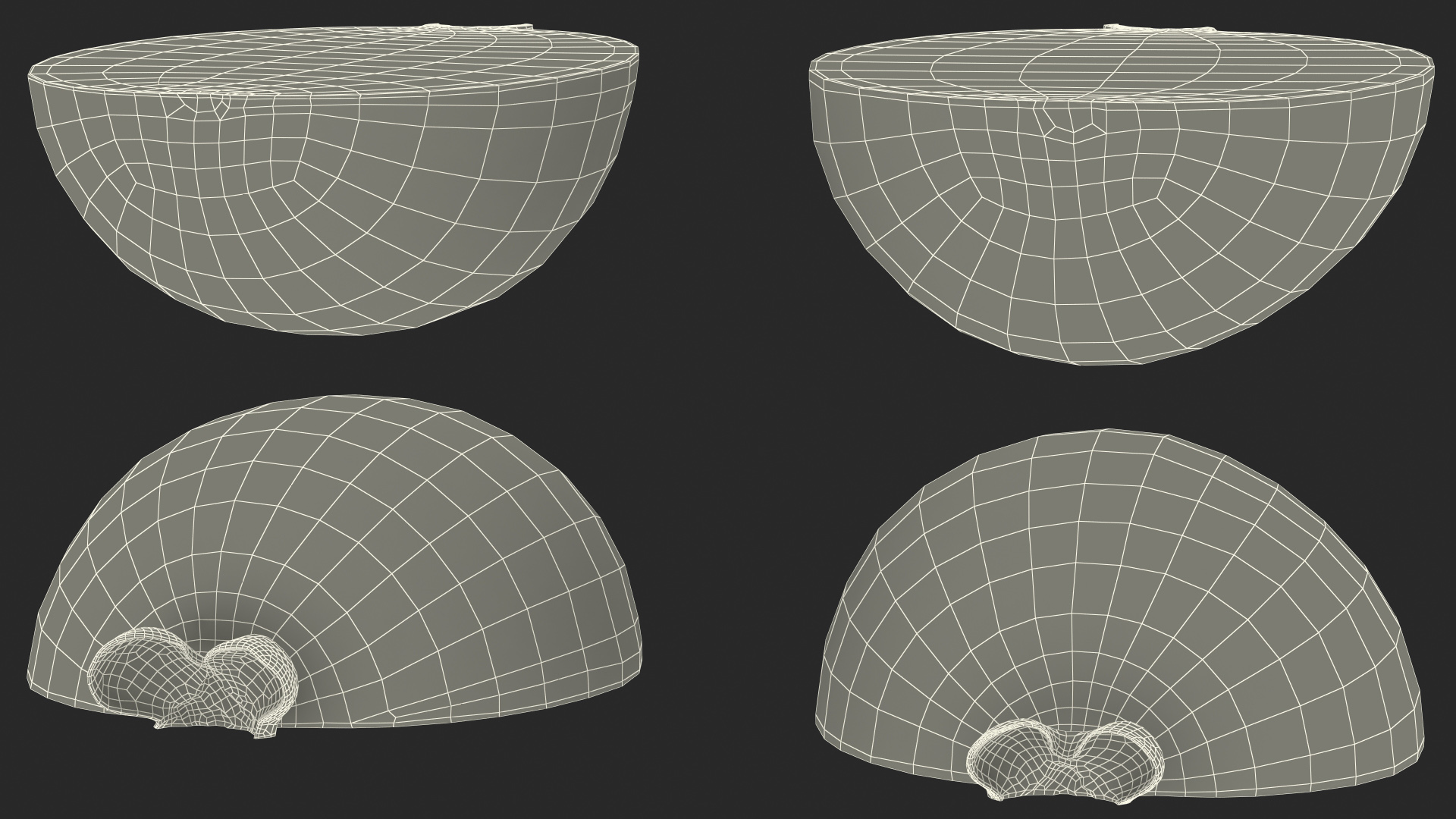 Feijoa Fruit Cut Along 3D