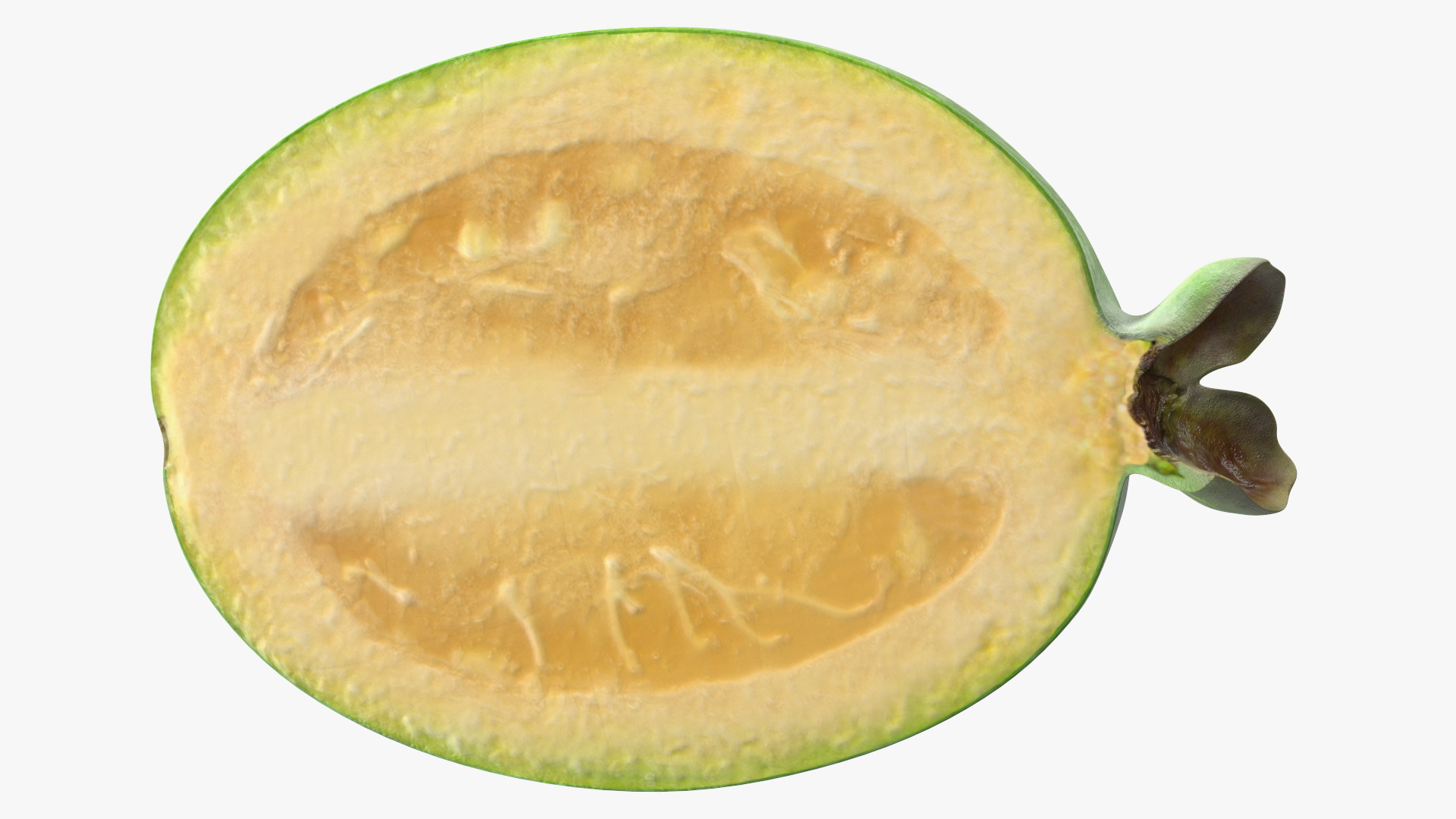 Feijoa Fruit Cut Along 3D