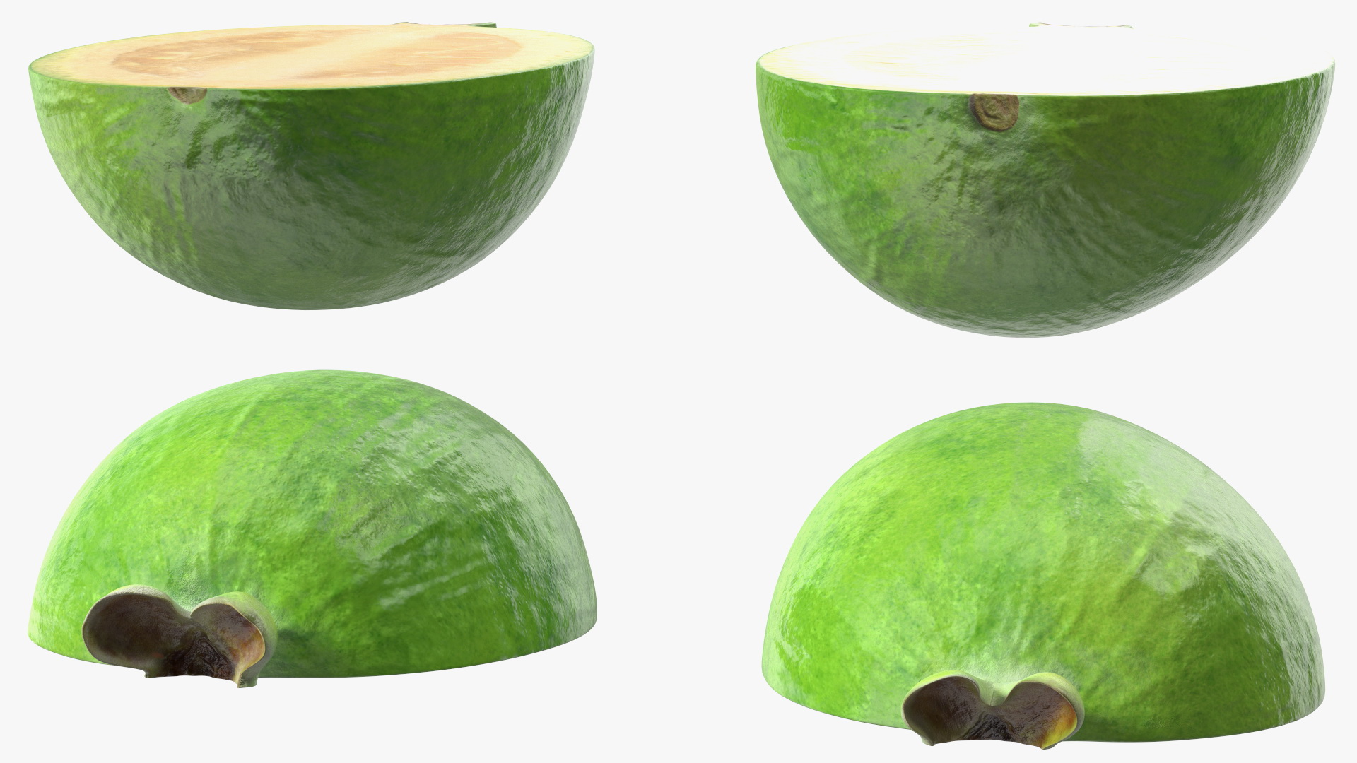 Feijoa Fruit Cut Along 3D