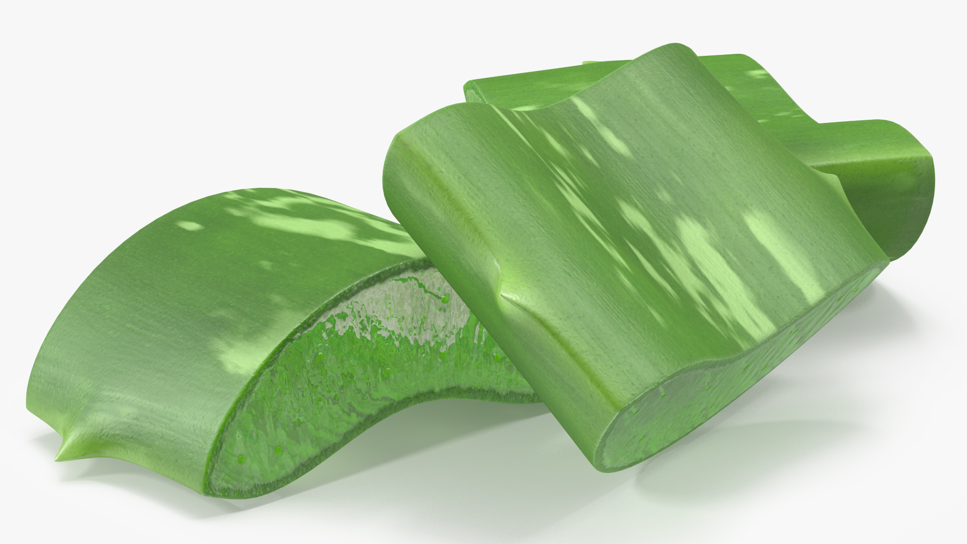 3D Aloe Pieces