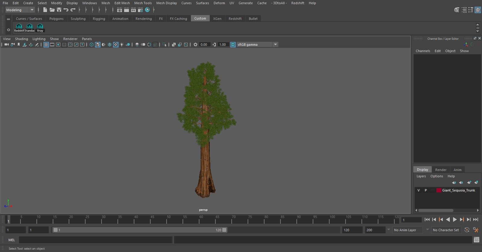 Giant Sequoia Trunk 3D model