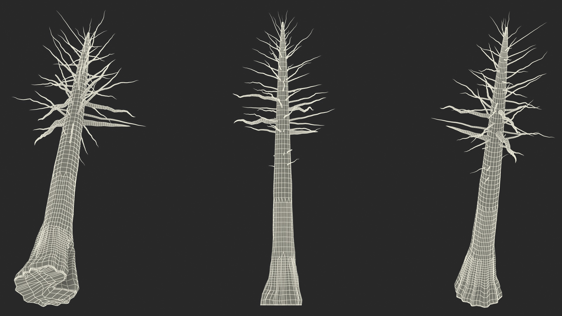 Giant Sequoia Trunk 3D model