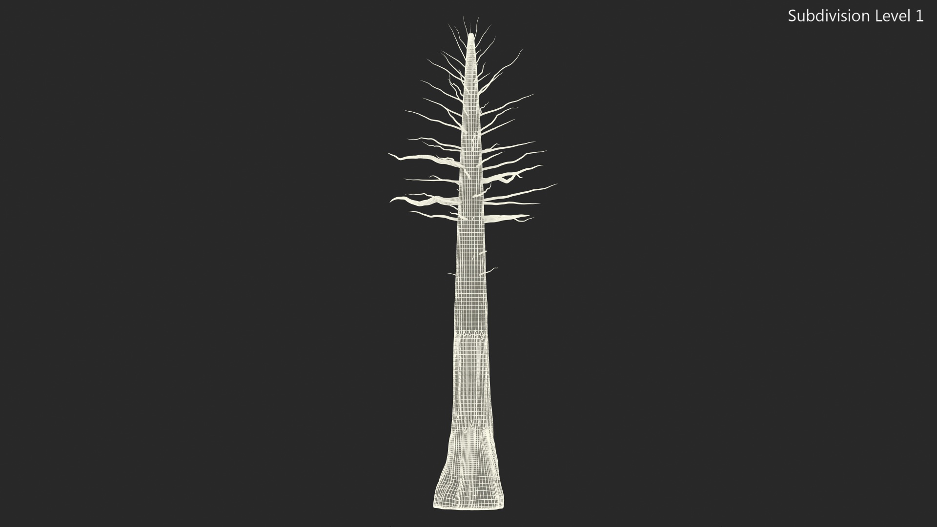 Giant Sequoia Trunk 3D model