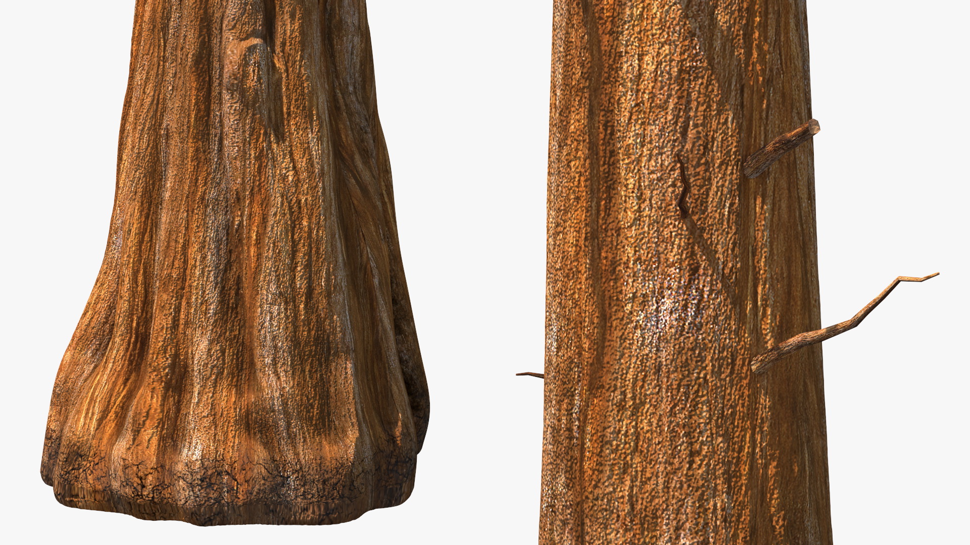 Giant Sequoia Trunk 3D model