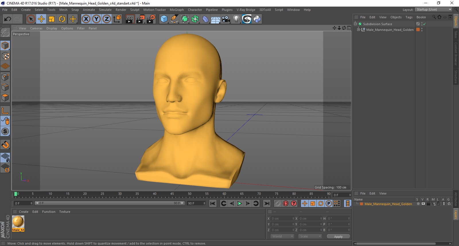 3D Male Mannequin Head Golden