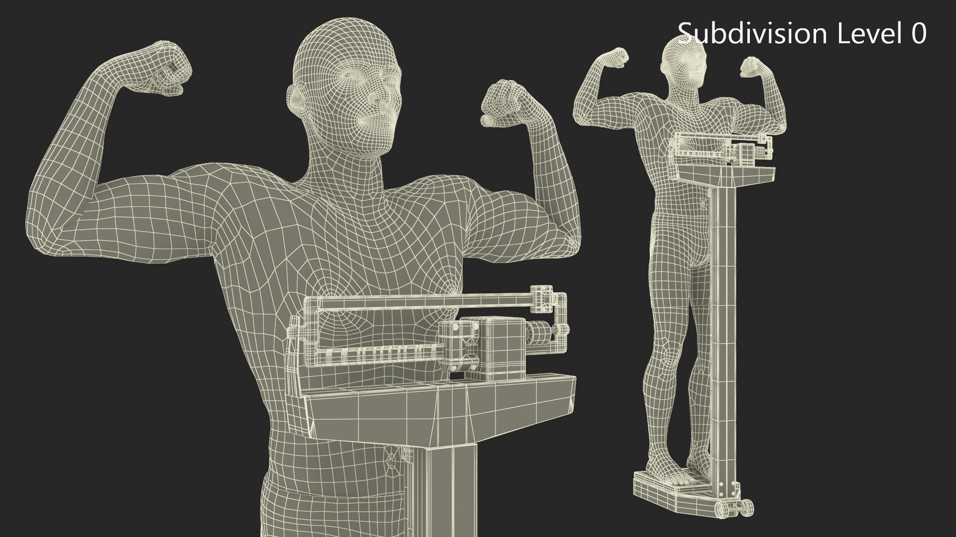 3D UFC MMA Fighter on Scale Fur model