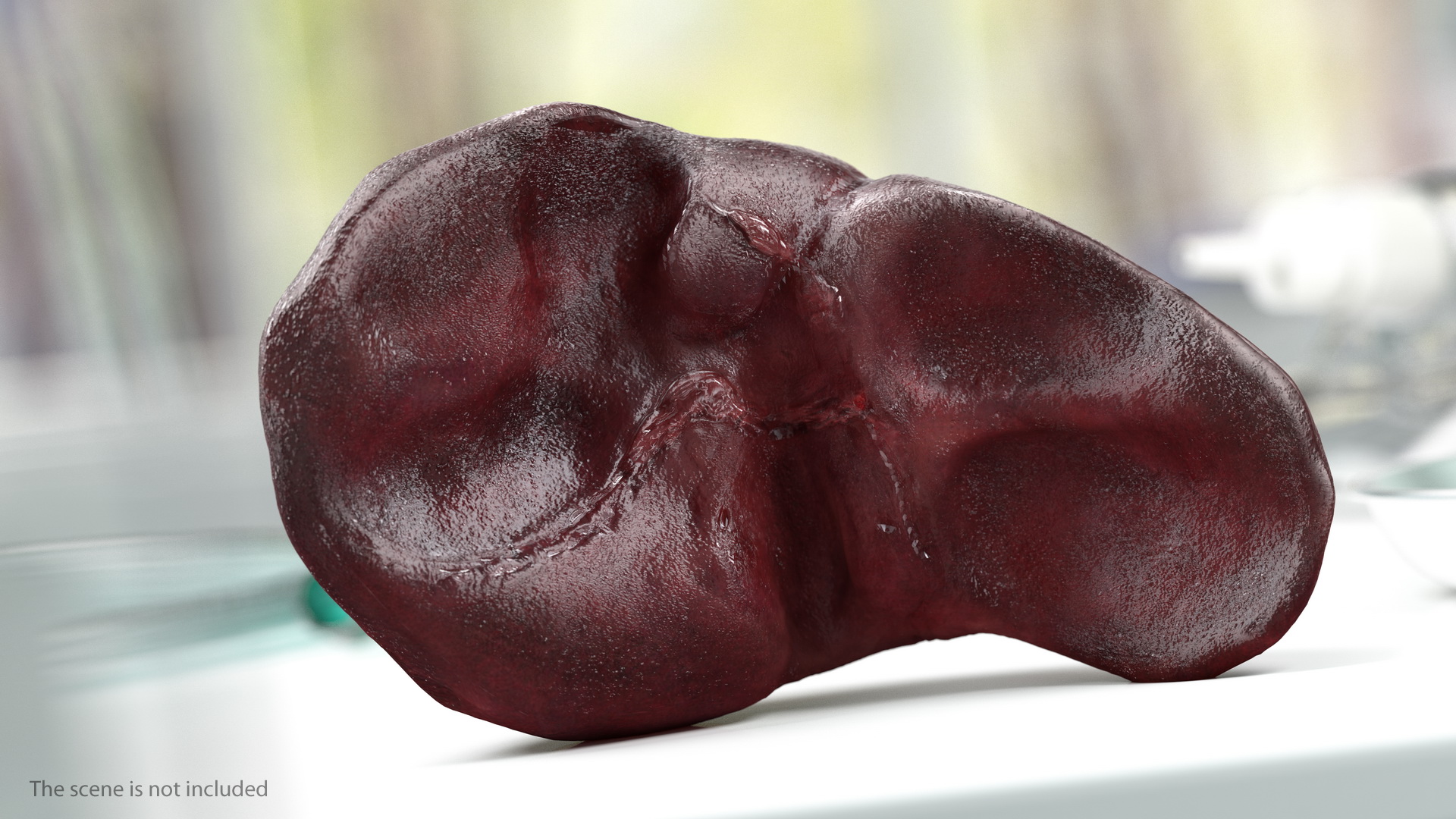 3D Human Liver