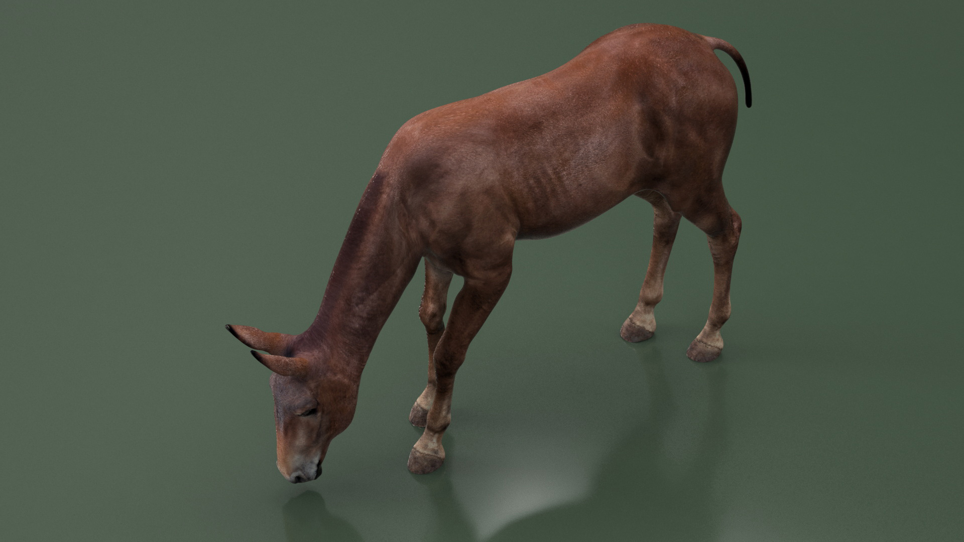 3D model Eating Bay Mule