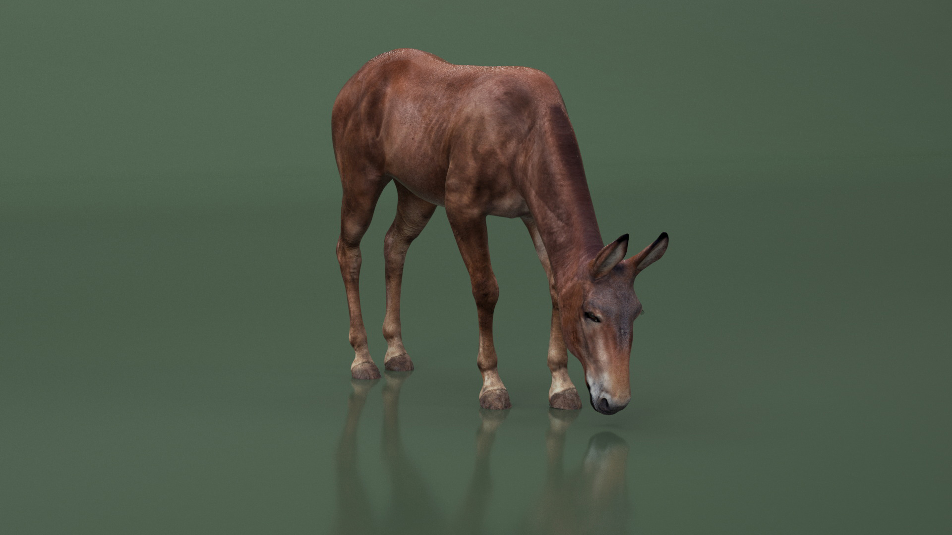 3D model Eating Bay Mule