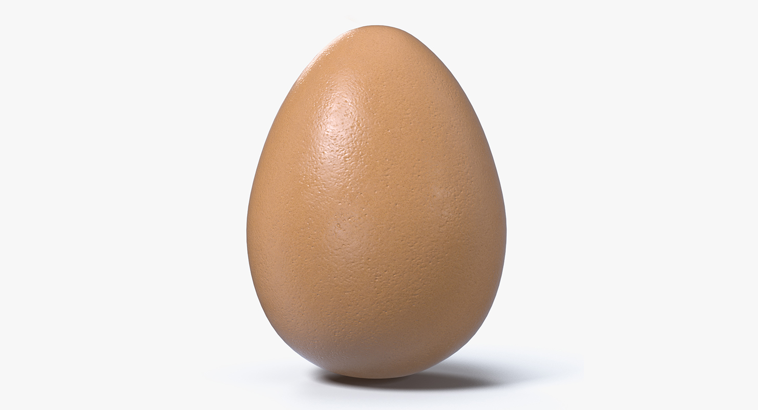 3D model Animal Egg