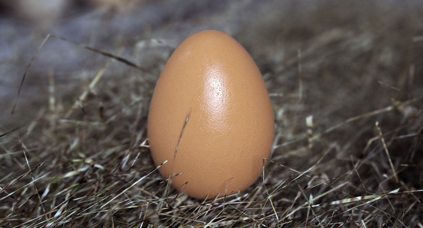 3D model Animal Egg