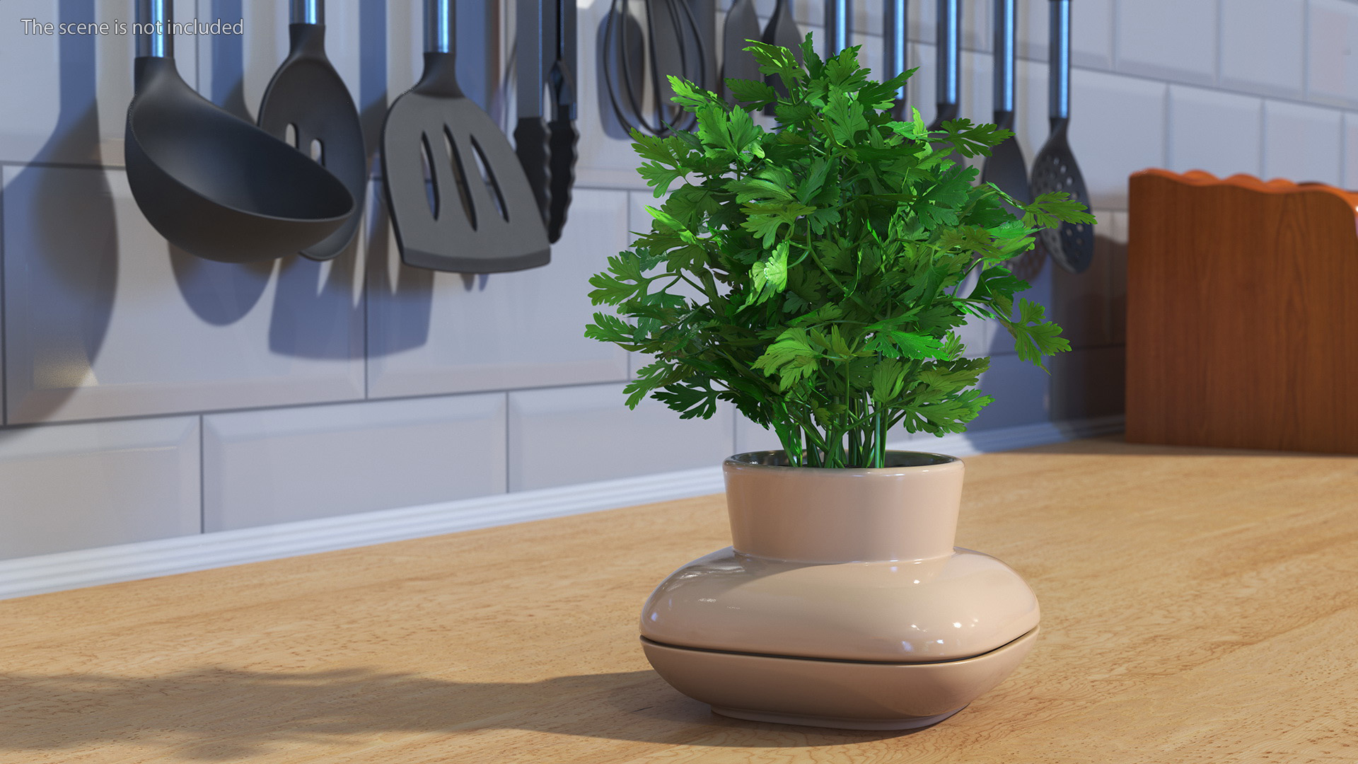 3D Parsley in Single Herb Pot Sagaform Beige