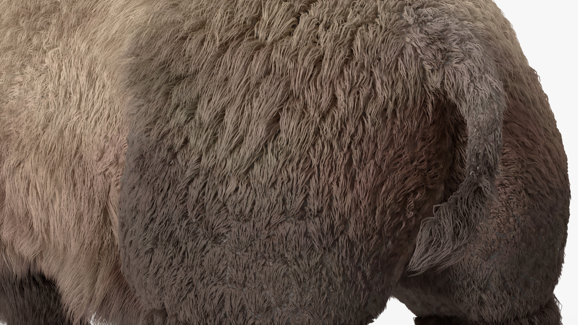 3D Elasmatherium Standing Pose Fur