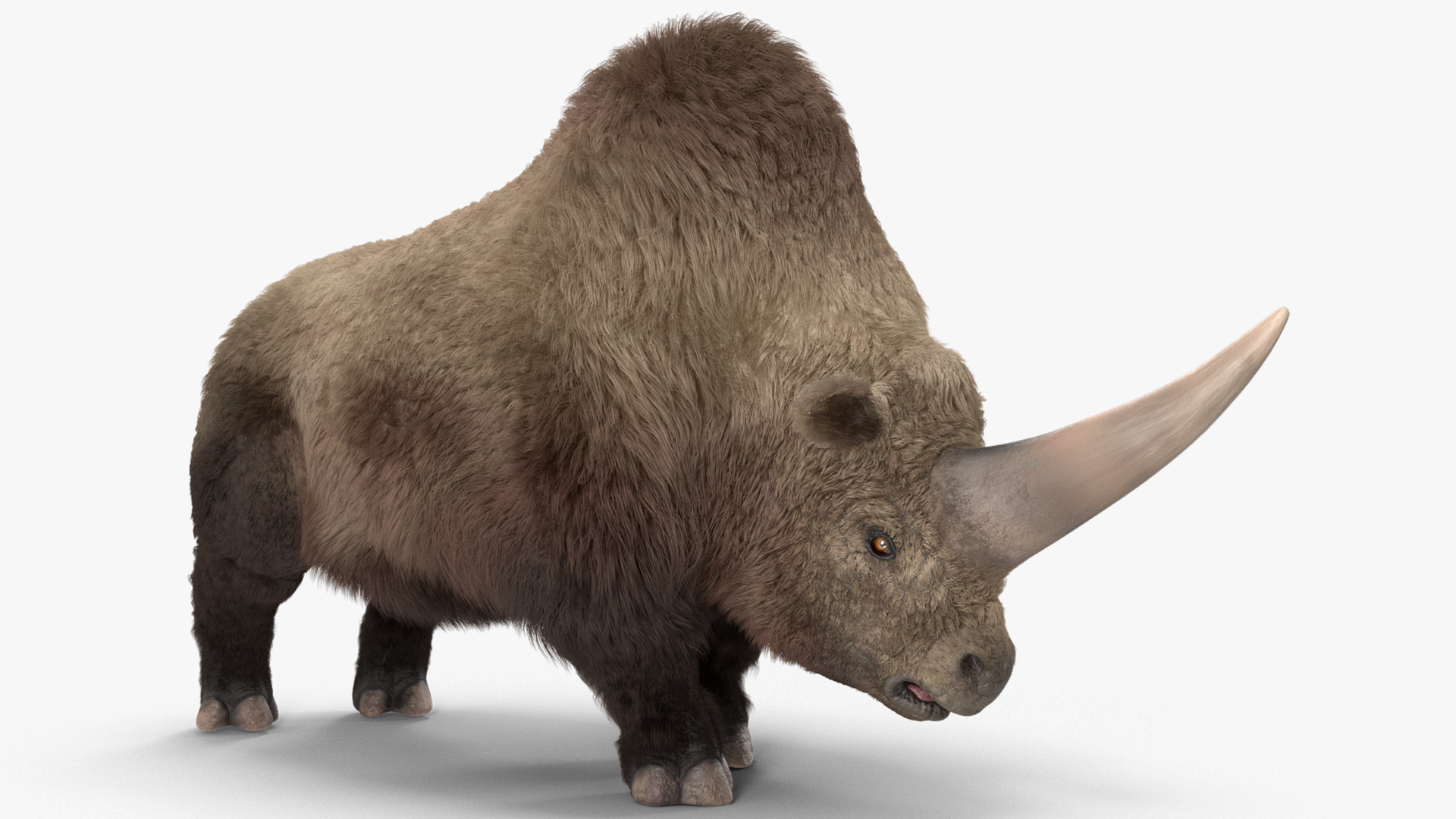 3D Elasmatherium Standing Pose Fur