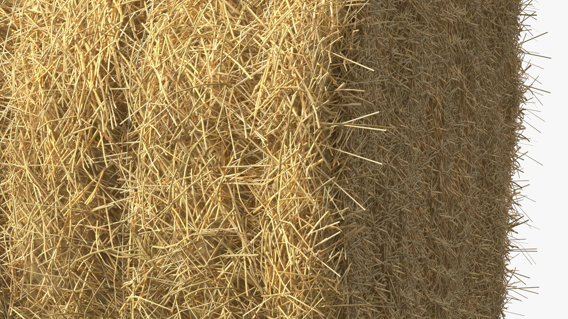 3D Bale Hay Roll model