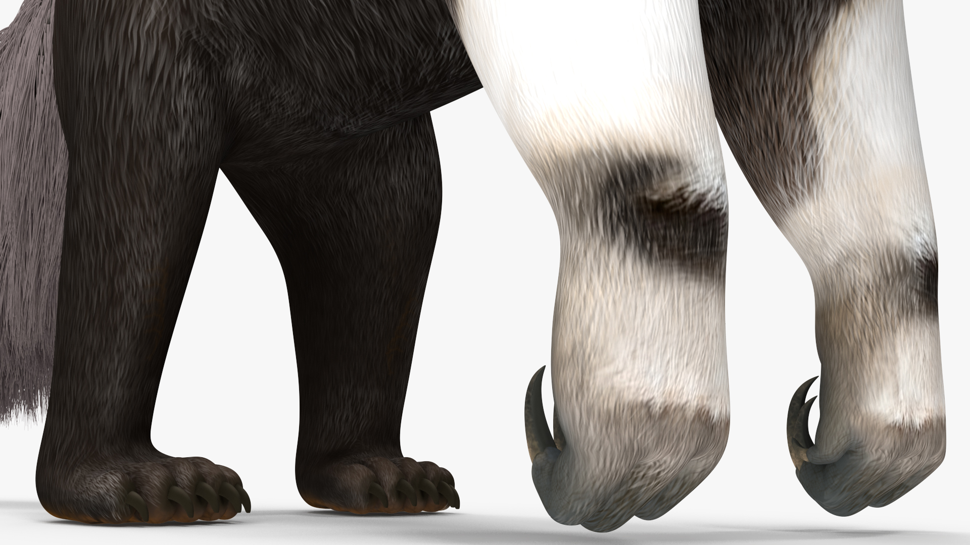 Anteater Standing Pose 3D