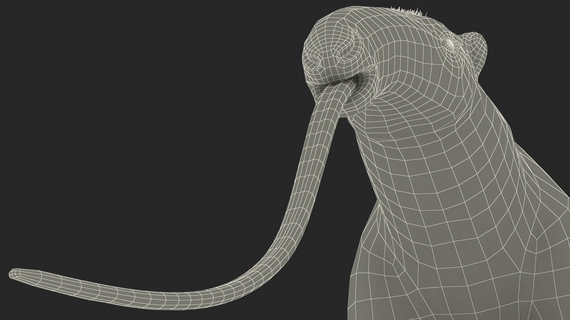 Anteater Standing Pose 3D