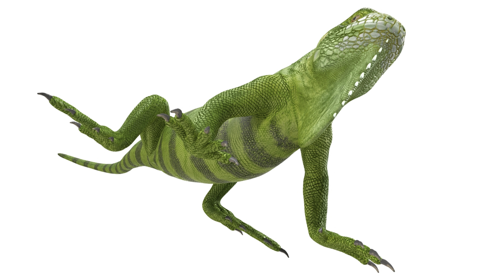 3D model Iguana Reptile Creature Rigged