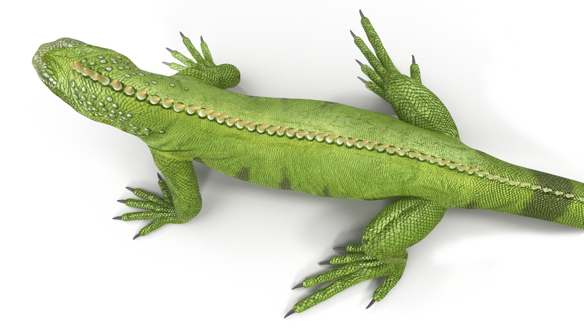 3D model Iguana Reptile Creature Rigged