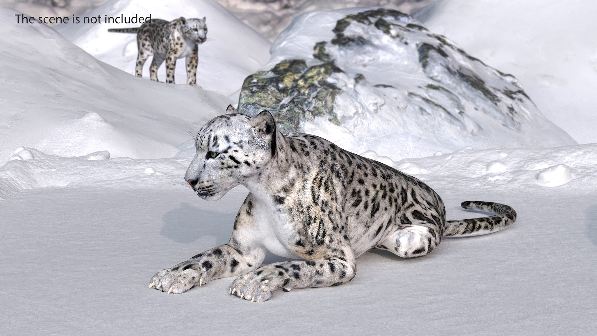 Snow Leopard Rigged 3D model