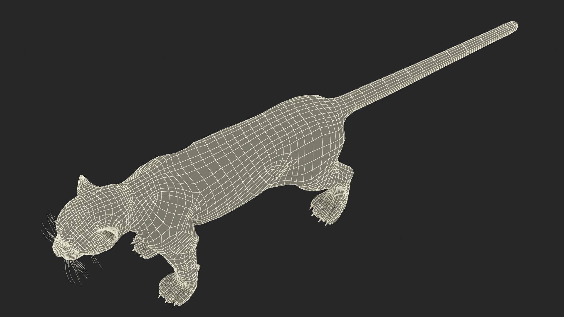 Snow Leopard Rigged 3D model