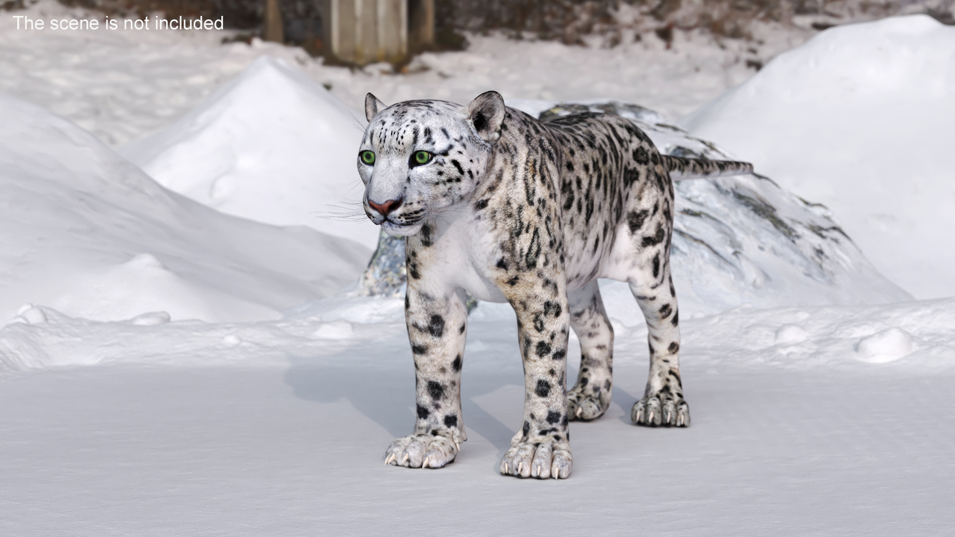 Snow Leopard Rigged 3D model