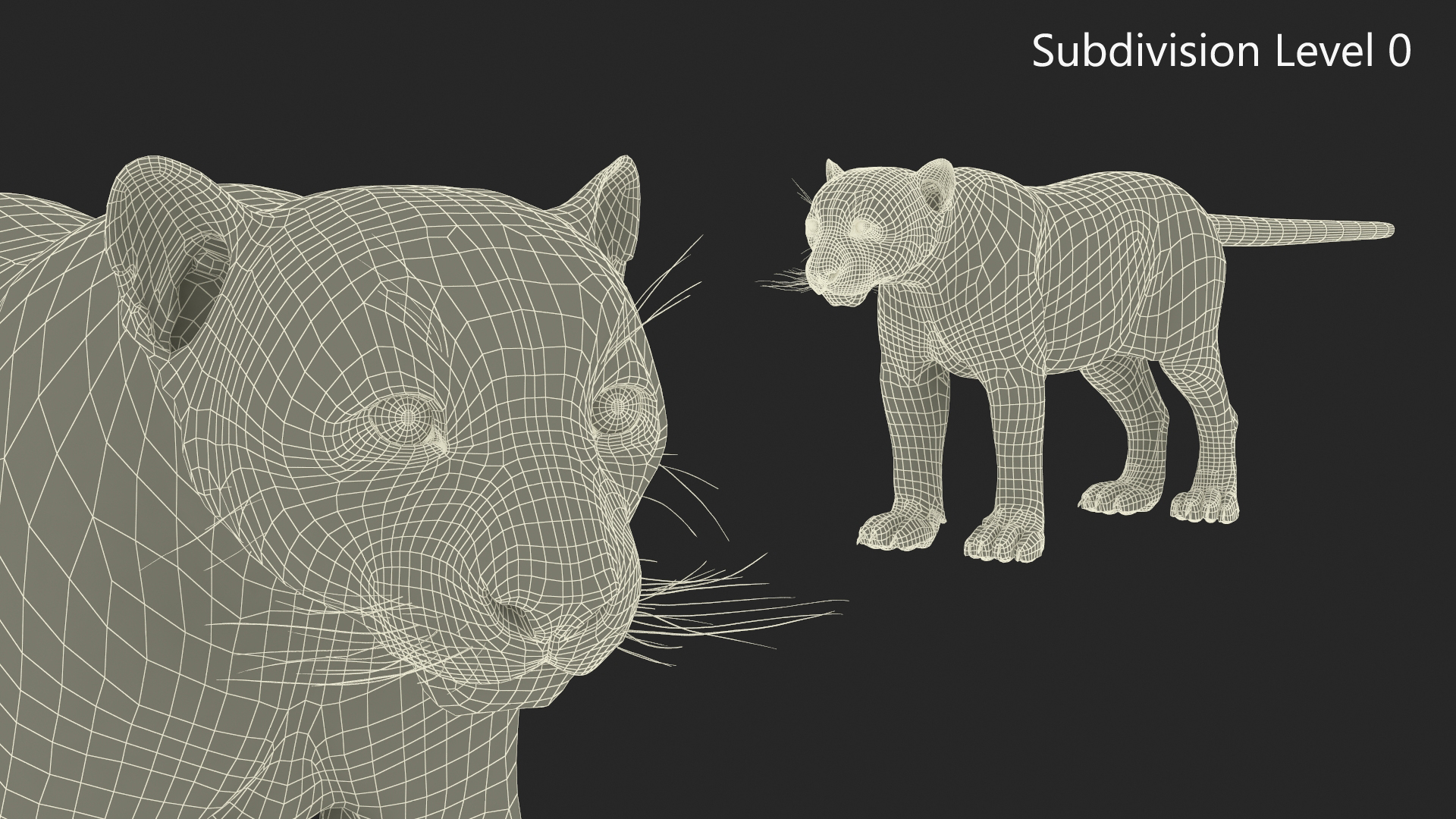 Snow Leopard Rigged 3D model