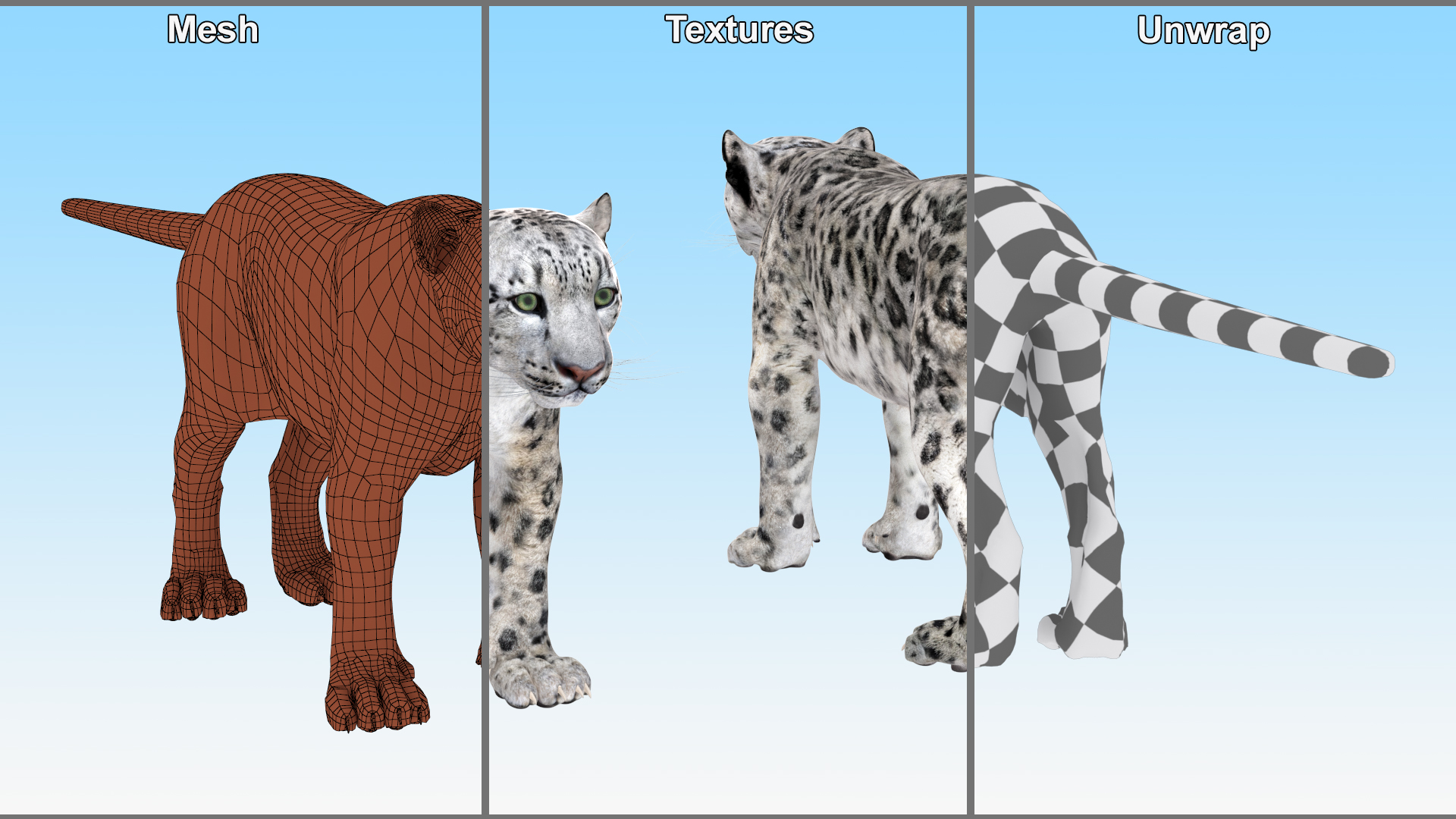 Snow Leopard Rigged 3D model