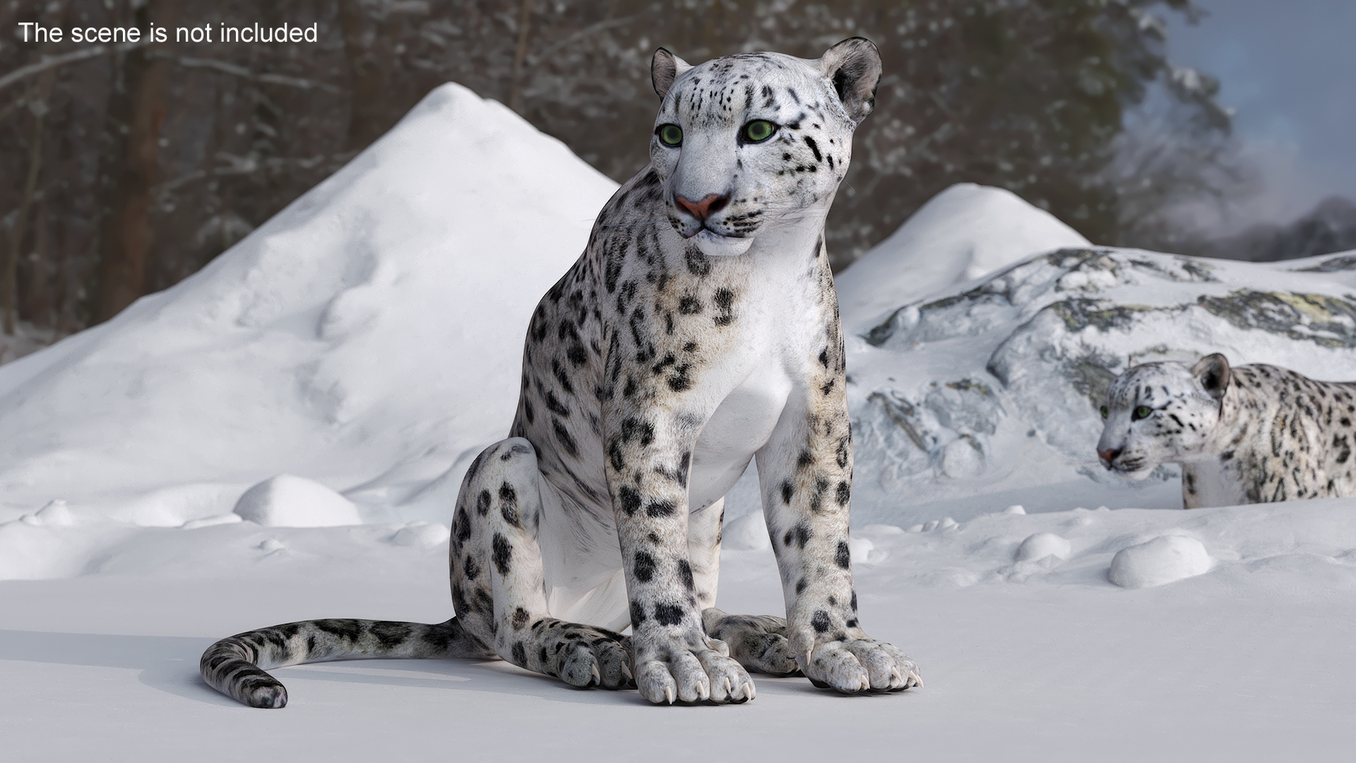 Snow Leopard Rigged 3D model