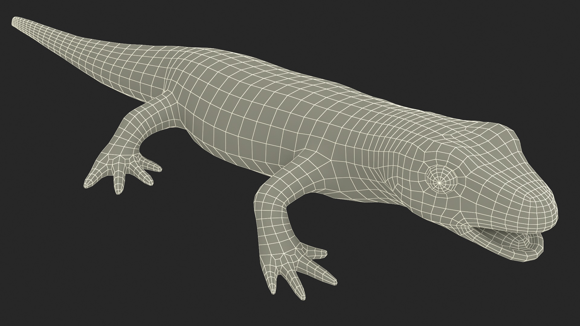 Smooth Newt Rigged for Maya 3D