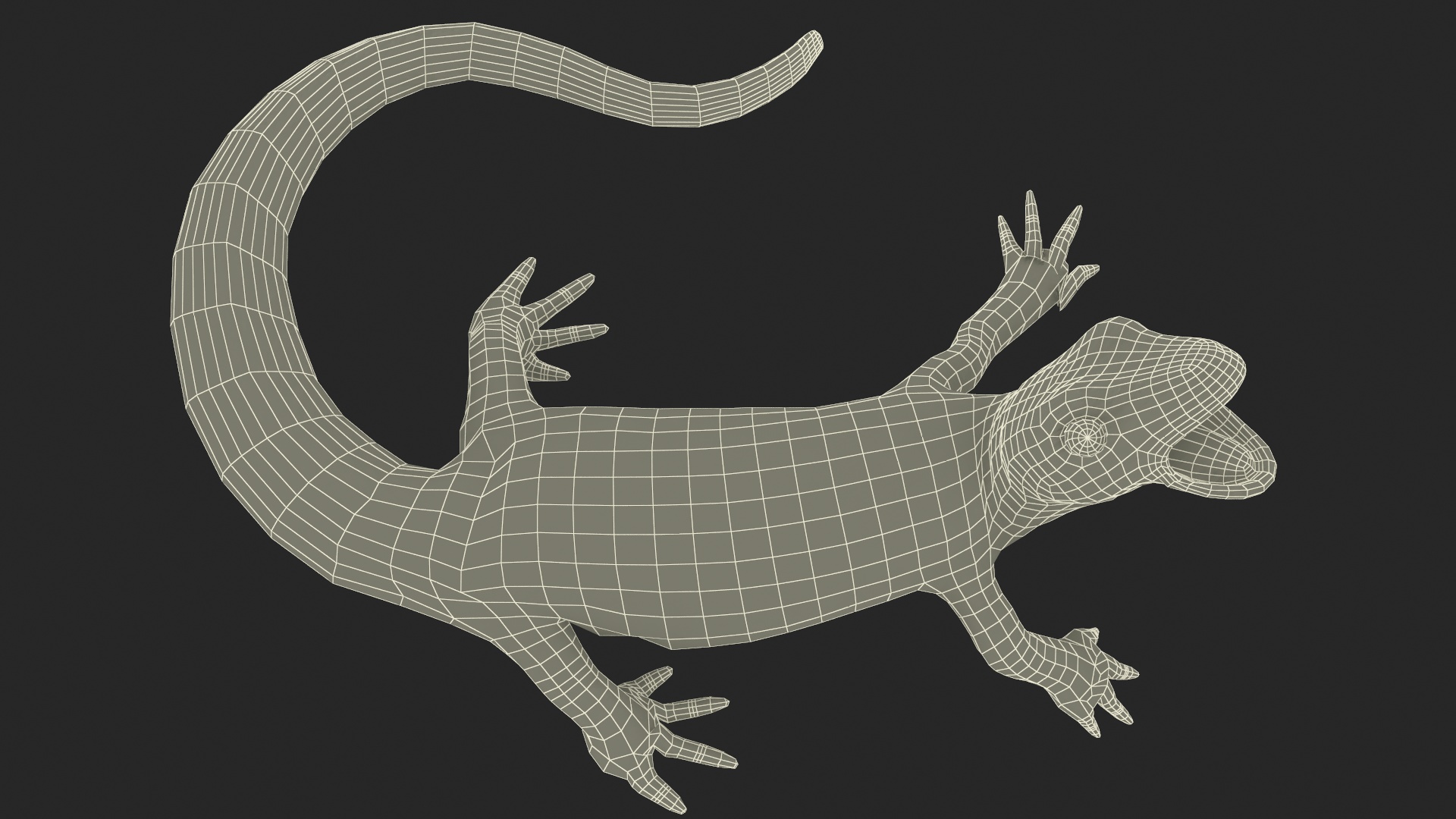 Smooth Newt Rigged for Maya 3D