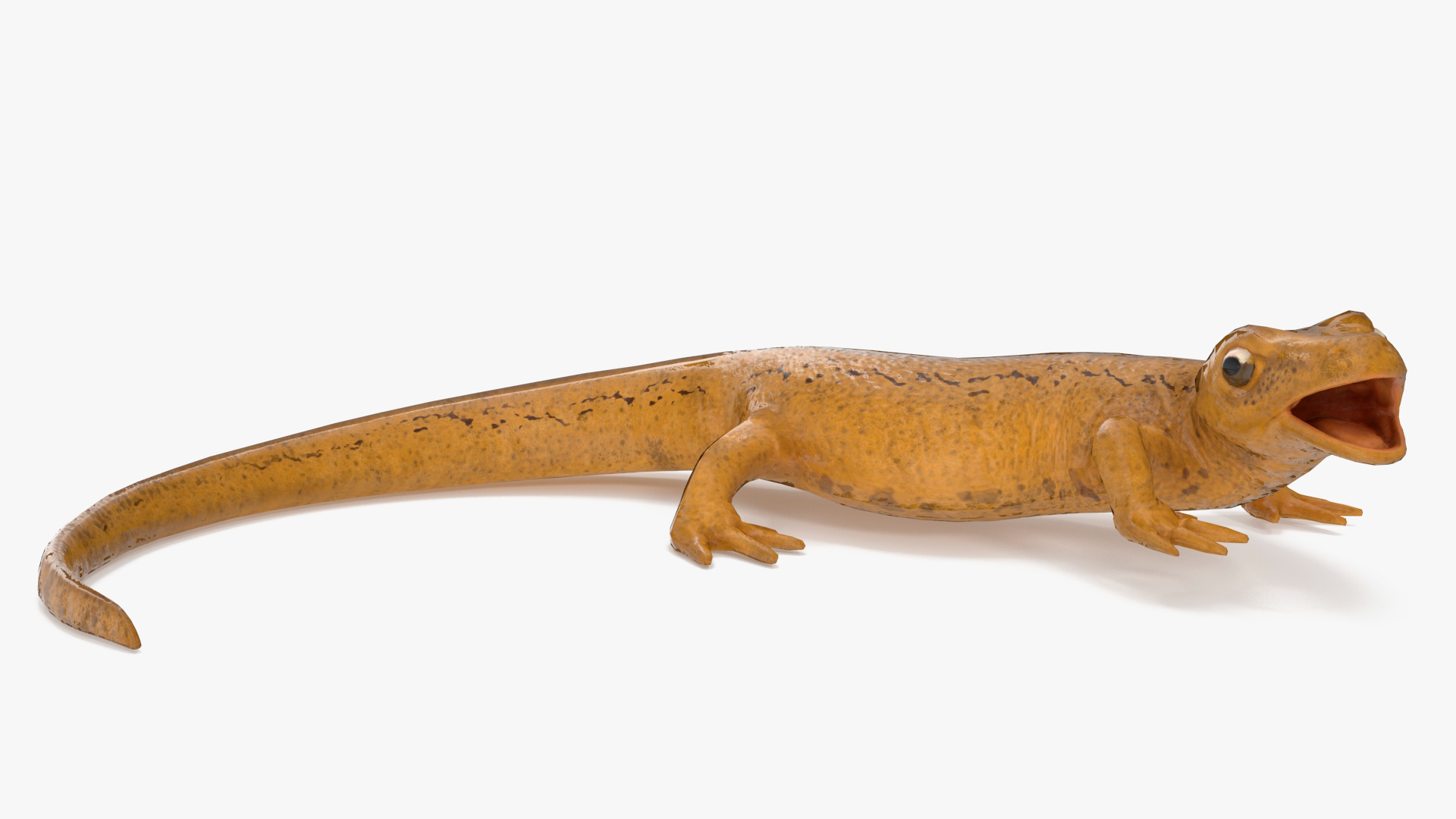 Smooth Newt Rigged for Maya 3D