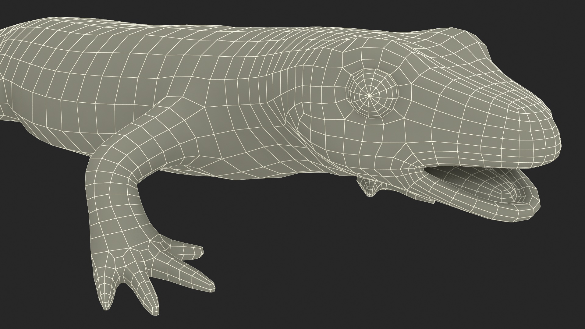 Smooth Newt Rigged for Maya 3D