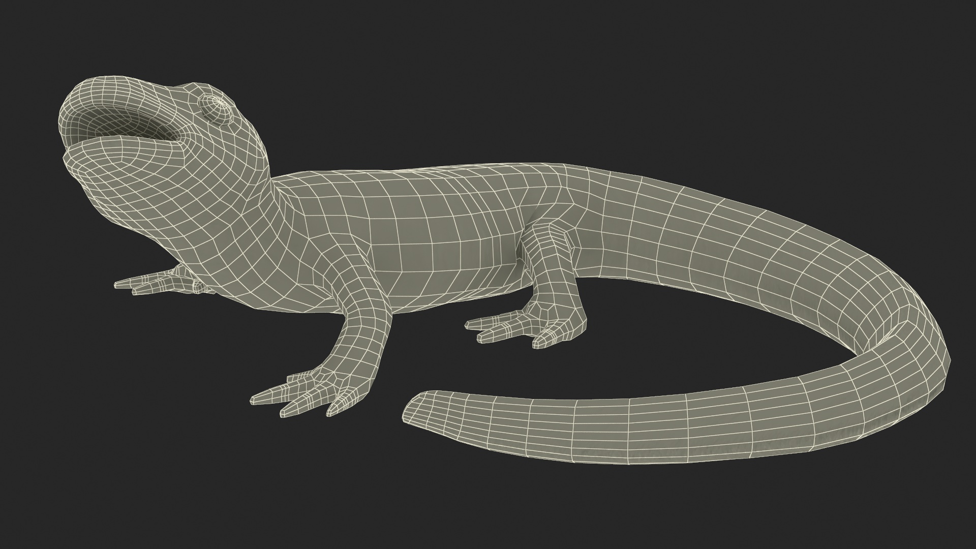 Smooth Newt Rigged for Maya 3D