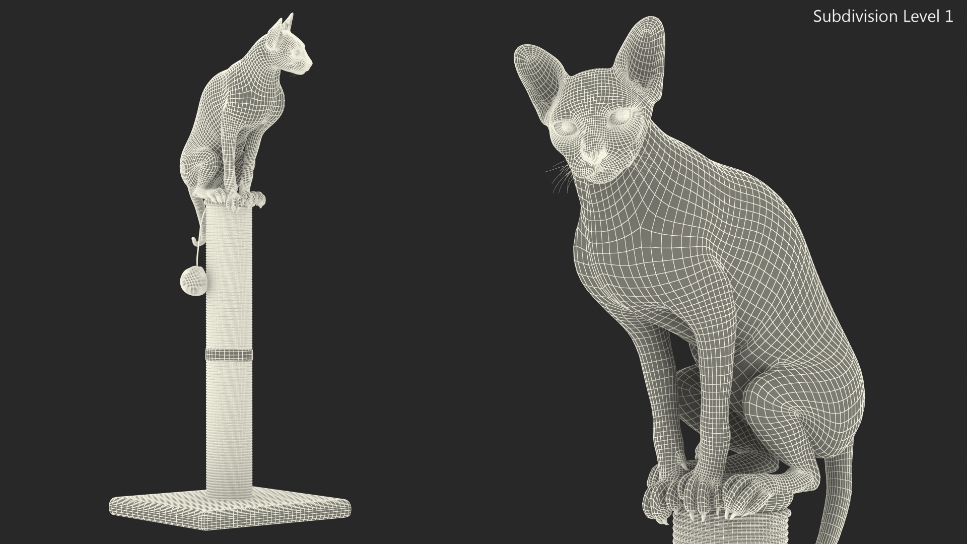 Cat Sitting On A Scratching Post 3D